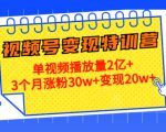 21天视频号变现特训营：单视频播放量2亿+3个月涨粉30w+变现20w+（第14期）-私藏资源社