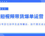 2023短视频带货爆单运营,从账号定位到学会选预爆品,到代理完成出单(价值1250元)-私藏资源社