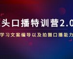 镜头口播特训营2.0版,学习文案编导以及拍摄口播能力(50节课时)-私藏资源社