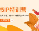 小红书IP特训营：从搭建-制作-爆款脚本等等，做一个赚钱的小红书号-私藏资源社