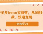 跨境拼多多temu实战营,从0到1打造爆款,快速变现-私藏资源社