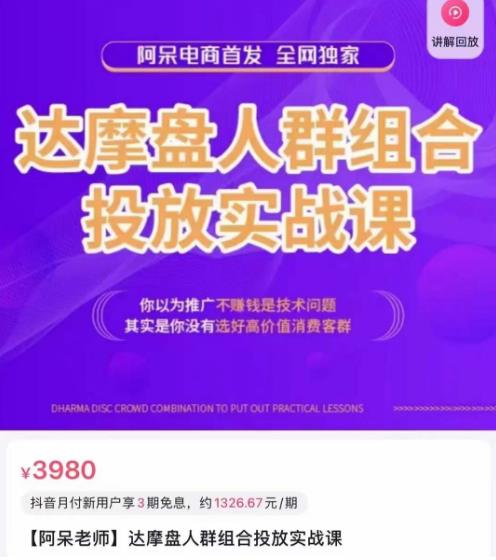 阿呆电商·达摩盘人群组合投放实战课，你以为推广不赚钱是技术问题，其实是你没有选好高价值消费客群-私藏资源社