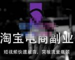 蓝Sir派·淘宝短视频快速起店,替代传统搜索方式,学会做一个不一样的淘宝店-私藏资源社
