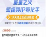 瑶瑶·自然流短视频IP孵化第二期，14天线上实战训练营，赋能100个人成为有数据能赚钱的独立IP孵化手-私藏资源社