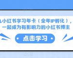 厦九九小红书学习年卡（全年IP孵化），沉浸式学习，一起成为有影响力的小红书博主-私藏资源社