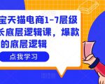 大圣淘宝天猫电商1-7层级盈利增长底层逻辑课,爆款的底层逻辑-私藏资源社