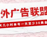 外面收费1980的最新国外LEAD广告联盟搬砖项目，单号一天至少30美金【详细玩法教程】-私藏资源社