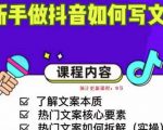 新手做抖音如何写文案,手把手实操如何拆解热门文案-私藏资源社