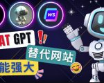 Ai聊天工具ChatGPT的替代网站,3大功能强大的人工智能工具-私藏资源社