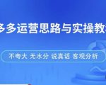 拼多多店铺运营思路与实操教程,快速学会拼多多开店和运营,少踩坑,多盈利-私藏资源社