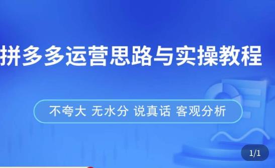 拼多多店铺运营思路与实操教程，快速学会拼多多开店和运营，少踩坑，多盈利-私藏资源社