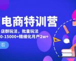 美团电商特训营:美团·店群玩法,无脑铺货月产出6000-15000+精细化月产2w+-私藏资源社