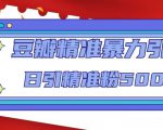 豆瓣精准暴力引流，日引精准粉500+【12课时】-私藏资源社