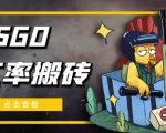 外面9800的CSGO汇率搬砖项目，一个月轻松赚几千【选品软件+详细教程】-私藏资源社