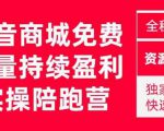 抖音商城搜索持续盈利陪跑成长营，抖音商城搜索从0-1、从1到10的全面解决方案-私藏资源社