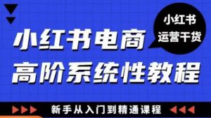 小红书电商高阶系统教程,新手从入门到精通系统课-私藏资源社