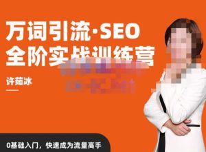 许茹冰·万词引流-SEO全阶实战训练营,0基础入门,快速成为流量高手-私藏资源社