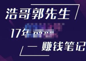 浩哥郭先生17年创业赚米笔记，打开你对很多东西的认知，让你知道原来赚钱或创业不单单是发力就行-私藏资源社