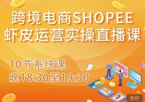 跨境电商Shopee虾皮运营实操直播课,从零开始学,入门到精通(10节系统课)-私藏资源社