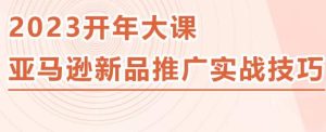 2023亚马逊新品推广实战技巧,线下百万美金课程的精简版,简单粗暴可复制,实操性强的推广手段-私藏资源社