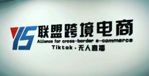 YS联盟·Tiktok无人直播,不出镜不剪辑不拍摄不发货无售后的跨境短视频躺赚玩法-私藏资源社