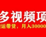 多多带货视频快速50爆款拿带货资格,搬运带货,月入30000【全套脚本+详细玩法】-私藏资源社