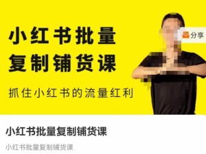 张宾·小红书批量复制铺货课,抓住小红书的流量红利 (更新2023年2月)-私藏资源社