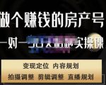 刘广标·同城房产号线上陪跑课，拍摄、剪辑、写文案、直播，做一个具有潜力价值的房产号-私藏资源社