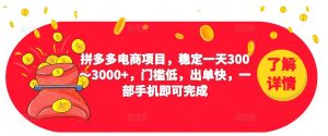 2023拼多多电商项目,稳定一天300~3000+,门槛低,出单快,一部手机即可完成-私藏资源社
