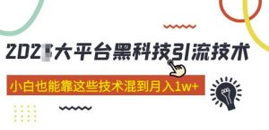 大平台黑科技引流技术,小白也能靠这些技术混到月入1w+(2022年的课程)-私藏资源社