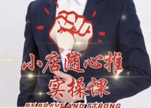 随心推线上课,小店随心推的投放逻辑,投放技巧,快速打标签-私藏资源社