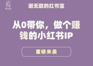 谢无敌·小红书运营大宝典,从0带你做个赚钱的小红书IP-私藏资源社