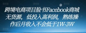 跨境电商项目脸书Facebook商城无货源,低投入高利润,熟练操作后月收入不会低于1W-3W-私藏资源社