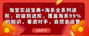 淘宝实战宝典+淘系全系列进阶,初级到进阶,覆盖淘系99%的知识,看透对手,自然会运营-私藏资源社
