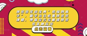 拼多多实战宝典“初级到高手”，新手小白必看拼多多课程，带你全方位解读拼多多各种玩法-私藏资源社