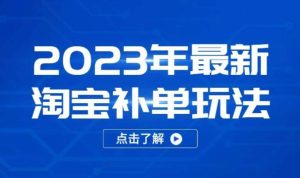 2023年最新淘宝补单玩法,18节课让教你快速起新品,安全不降权-私藏资源社
