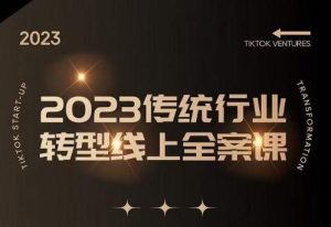 数据哥2023传统行业转型线上全案课,2023年传统行业如何转型线上,线上创业/传统转型避坑宝典-私藏资源社