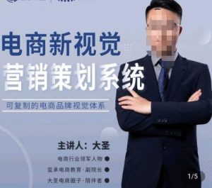 大圣·电商新视觉营销策划系统,可复制的电商品牌视觉识别系统-私藏资源社