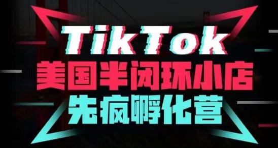 疯人院·TikTok美国半闭环小店孵化营，抢占TikTok美国蓝海市场，开店、运营、带货、投流全实操-私藏资源社