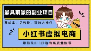 小红书蓝海大市场虚拟电商项目,手把手带你打造出日赚2000+高质量红薯账号-私藏资源社