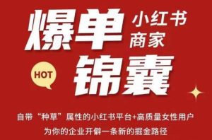 无畏·小红书商家爆单锦囊,掌握小红书各大规则,快速精准抢占行业和市场-私藏资源社
