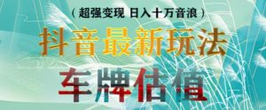抖音最新无人直播变现直播车牌估值玩法项目,轻松日赚几百+【详细玩法教程】-私藏资源社