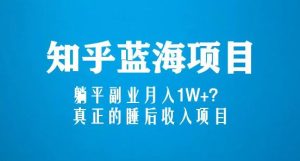 知乎蓝海玩法,躺平副业月入1W+,真正的睡后收入项目(6节视频课)-私藏资源社