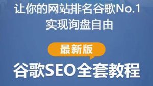 谷歌SEO实战教程:如何让你的网站在谷歌排名第一,内容从入门到高阶,适合个人及团队-私藏资源社