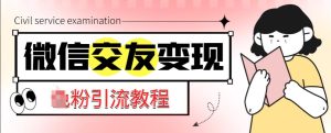微信交友变现项目,吸引全网LSP男粉精准变现,小白也能轻松上手,日入500+-私藏资源社