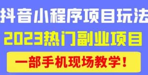 抖音小程序9.0新技巧,2023热门副业项目,动动手指轻松变现-私藏资源社