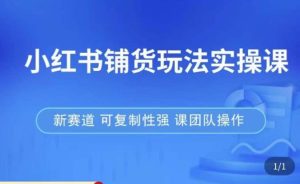 小红书铺货玩法实操课,流量大,竞争小,非常好做,新赛道,可复制性强,可团队操作-私藏资源社