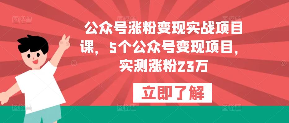 公众号涨粉变现实战项目课，5个公众号变现项目，实测涨粉23万-私藏资源社