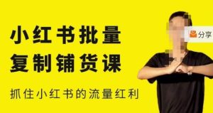 张宾·小红书批量复制铺货课,小红书0-1快速起号变现玩法,抓住小红书的流量红利(更新2023年3月)-私藏资源社