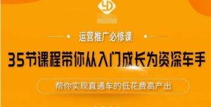 35节课程带你从入门成长为资深车手,让系统学习直通车成为可能,帮你实现直通车的低花费高产出-私藏资源社